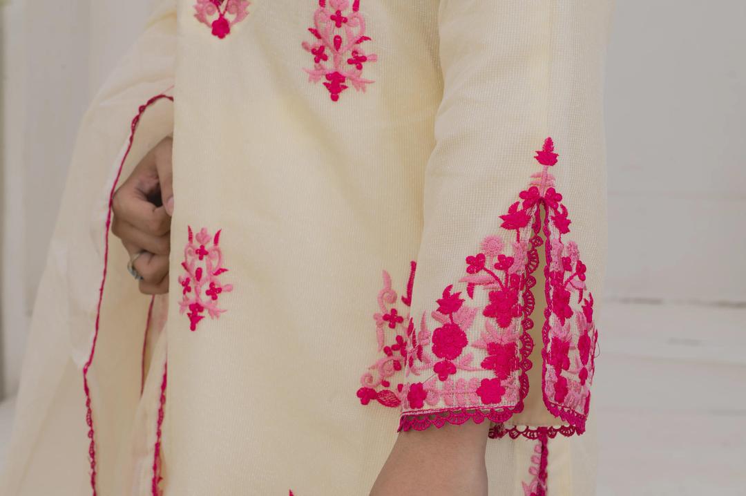 Embroidered Khaddi Net Winter